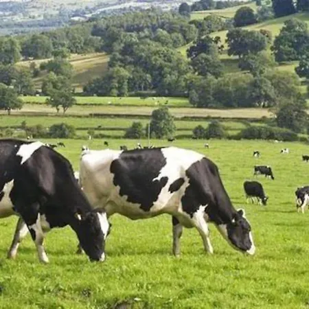 Nyaraló Mortain-bocage - 2-bed Wisteria Sleeps 4