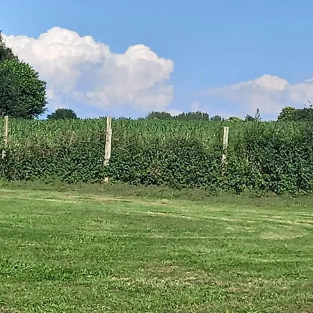 Mortain-bocage - 2-bed Wisteria Sleeps 4 * Notre-Dame-du-Touchet