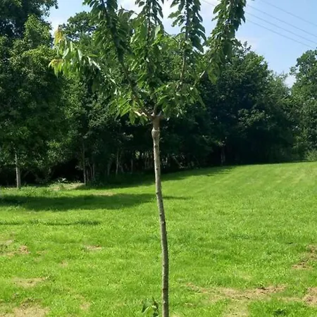 Mortain-bocage - 2-bed Wisteria Sleeps 4 Notre-Dame-du-Touchet