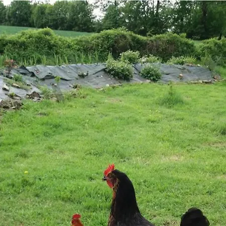 Mortain-bocage - 2-bed Wisteria Sleeps 4 * Notre-Dame-du-Touchet