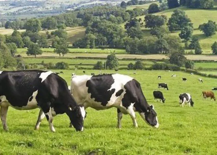 Semesterbostad Mortain-bocage - 2-bed Wisteria - Sleeps 4