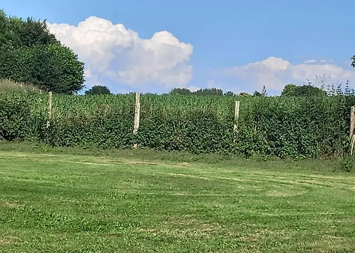 Mortain-bocage - 2-bed Wisteria - Sleeps 4 * Notre-Dame-du-Touchet