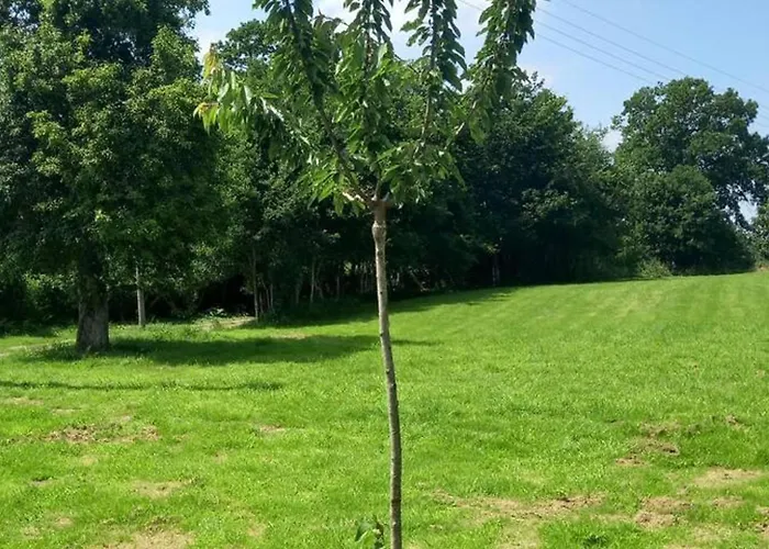 Mortain-bocage - 2-bed Wisteria - Sleeps 4 Notre-Dame-du-Touchet