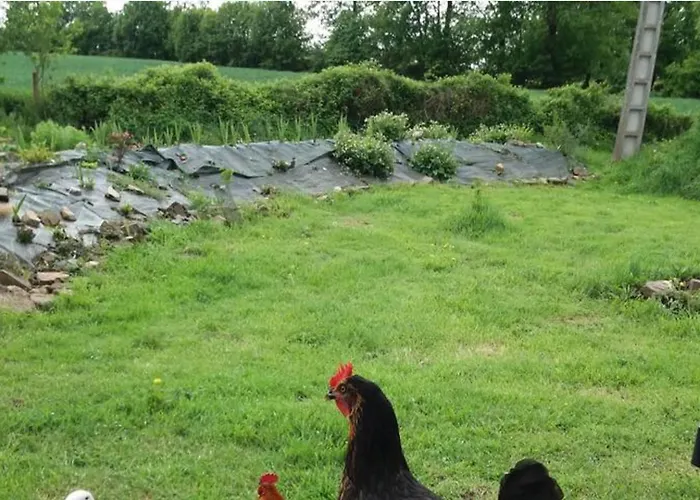 Mortain-bocage - 2-bed Wisteria - Sleeps 4 * Notre-Dame-du-Touchet