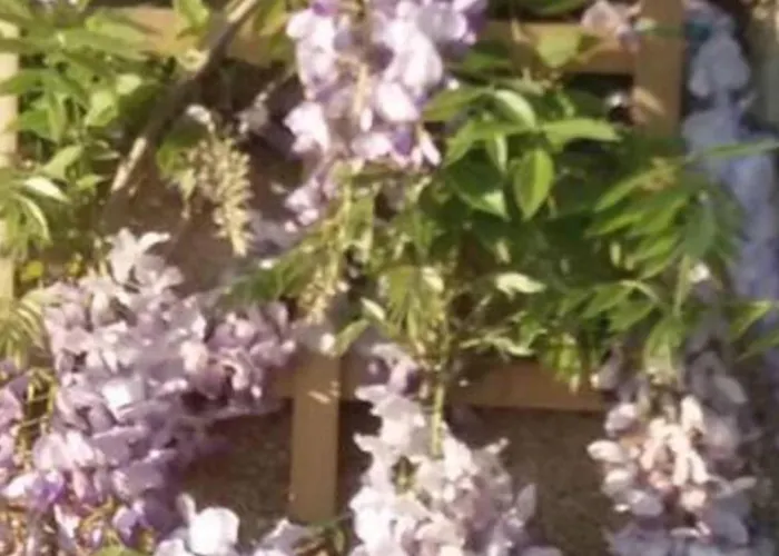 Mortain-bocage - 2-bed Wisteria - Sleeps 4 * Notre-Dame-du-Touchet